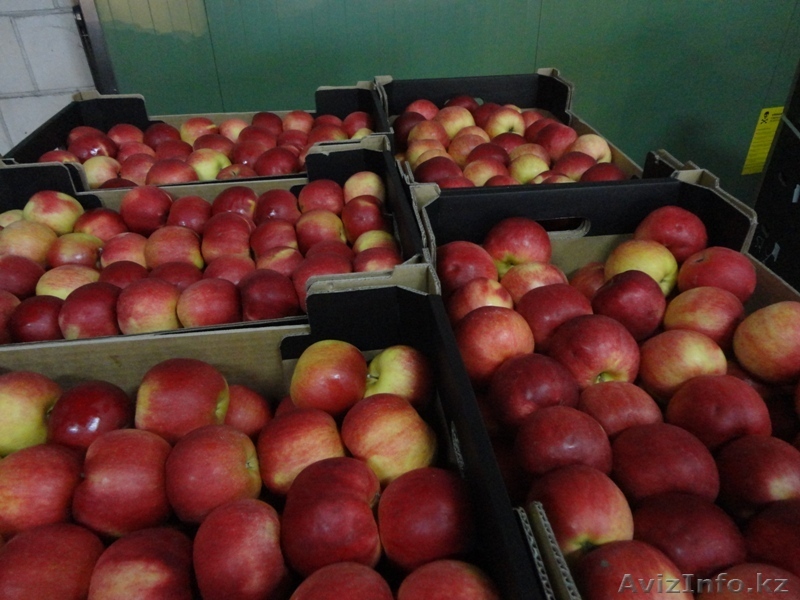 ALDA Sp.J  darek@alda93.pl  tel. 48 601158947 - Изображение #1, Объявление #1008877