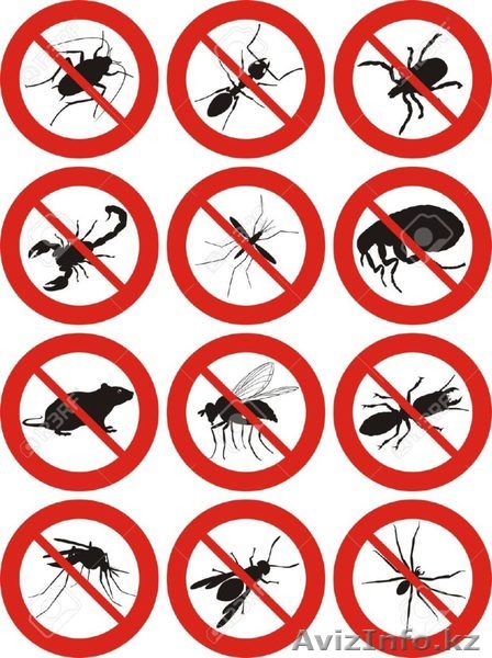  Дезинcекция и дератизация Экибастуз - Изображение #1, Объявление #1561290