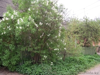 Дом рядом с Москвой - Изображение #1, Объявление #74054