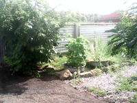 продам дом в Алтайском крае - Изображение #2, Объявление #929740