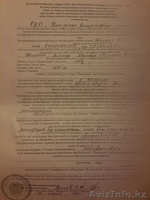 Исключительно натуральный мед - Изображение #4, Объявление #1283232