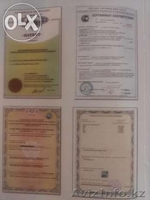 Подушки "Асония" со склада в Астане. - Изображение #5, Объявление #1542409