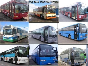 Автобусы городские, пригородные, туристические - Изображение #1, Объявление #34386