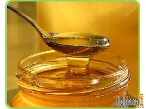 Пчеловодство Мёд - Изображение #1, Объявление #348814