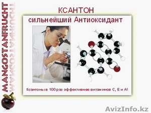 +7-701-224-0073 XANGO