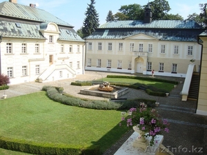 Бесплатное обучение в Чехии