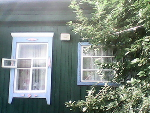 продам дом в Алтайском крае - Изображение #5, Объявление #929740