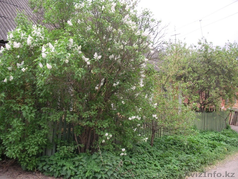 Дом рядом с Москвой - Изображение #1, Объявление #74054