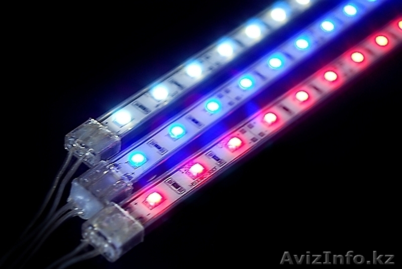 Холодный неон. Светодиодная продукция. Оптоволокно. Все для Автотюнинга. - Изображение #3, Объявление #433612