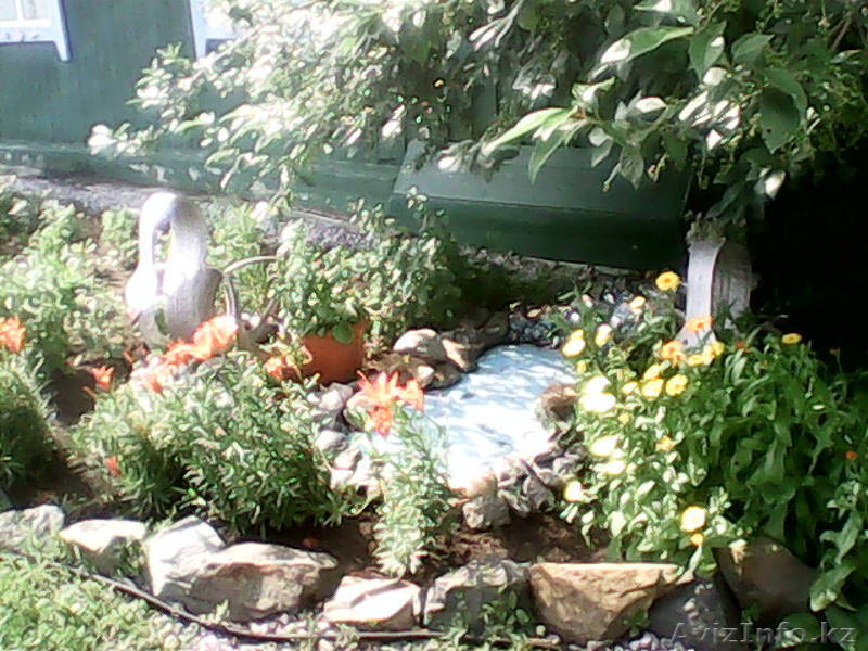 продам дом в Алтайском крае - Изображение #4, Объявление #929740