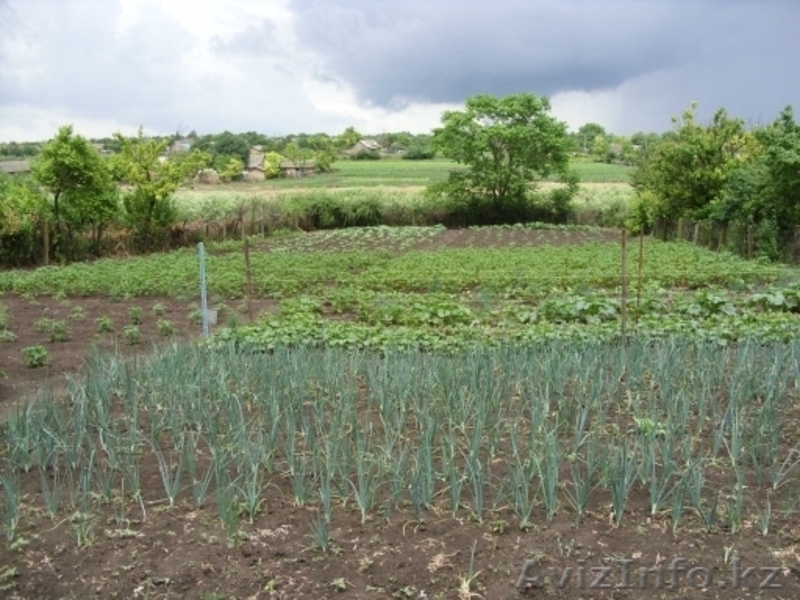 два дома в одном дворе - Изображение #3, Объявление #944529