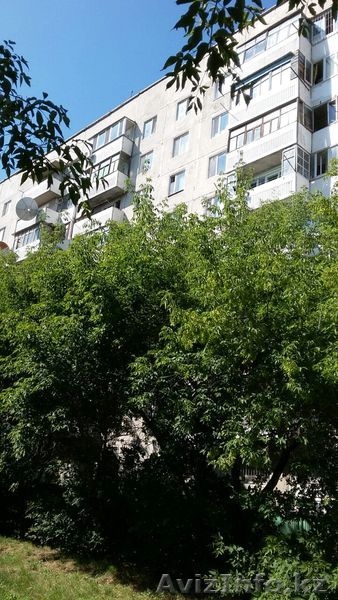 2 комн.квартитра, Район маг.Шахтер - Изображение #2, Объявление #1290827