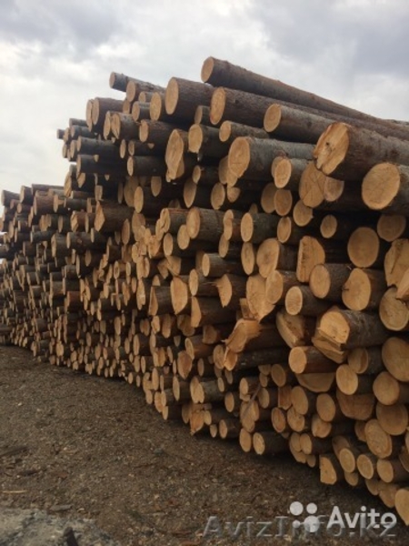 Обрезная доска. Брус. Лафет - Изображение #3, Объявление #1610318